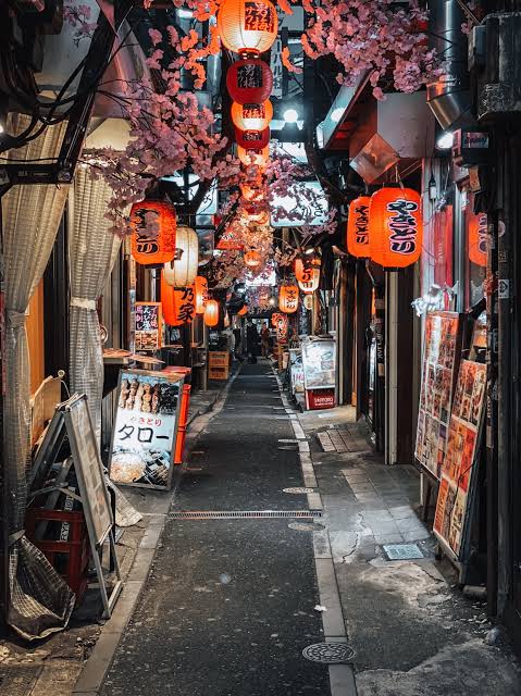 Narrow residential roji lane lined with green potted plants and laundry drying between traditional houses in a quiet Tokyo neighborhood