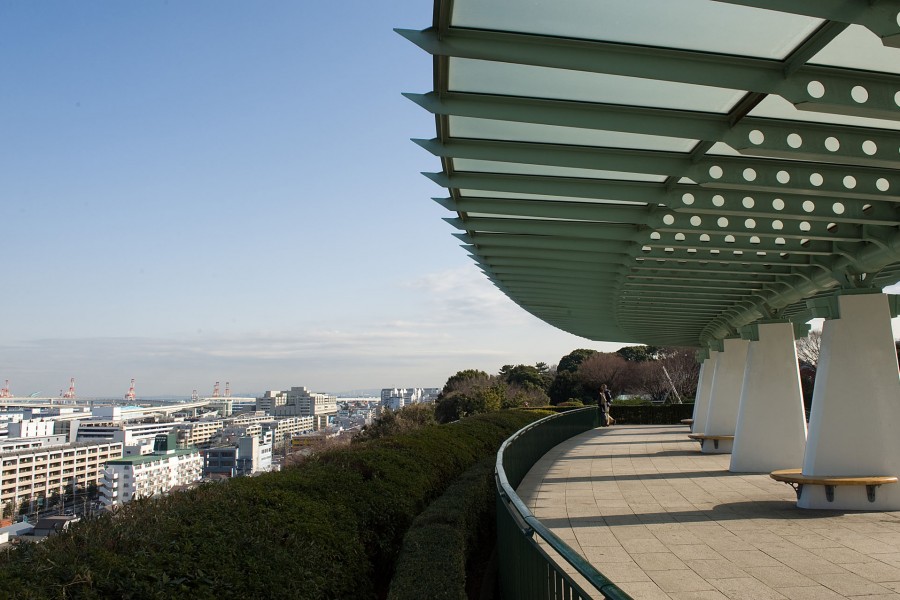 Yamate Bluff historic residences viewed from the hillside of Harbor View Park