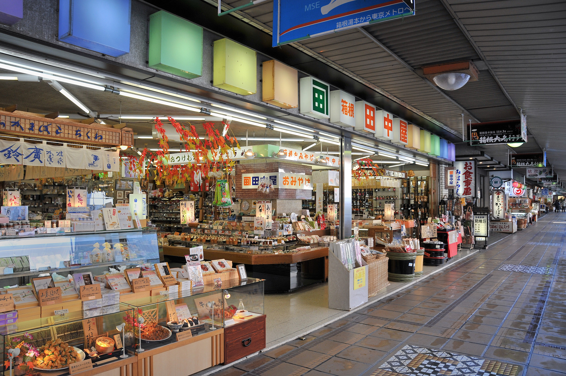 The hot spring town of Hakone-Yumoto nestled in a forested river valley