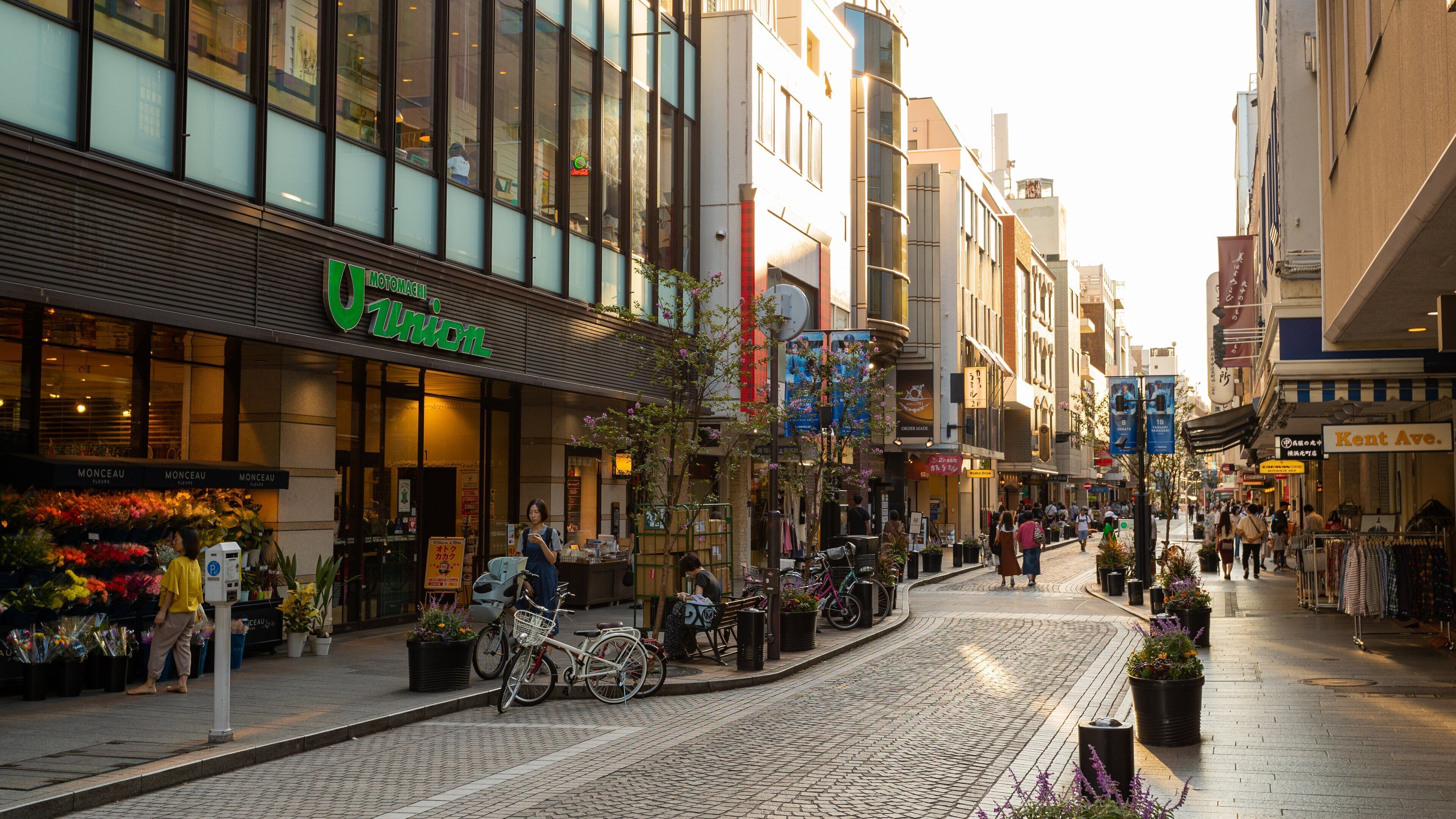The elegant tree-lined boutiques of Motomachi shopping street in Yokohama