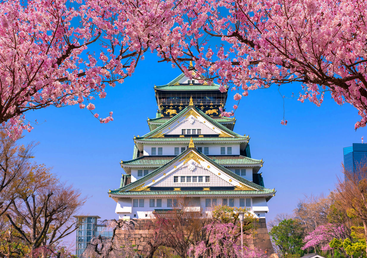 The green and gold main keep of Osaka Castle rising above its stone fortress walls