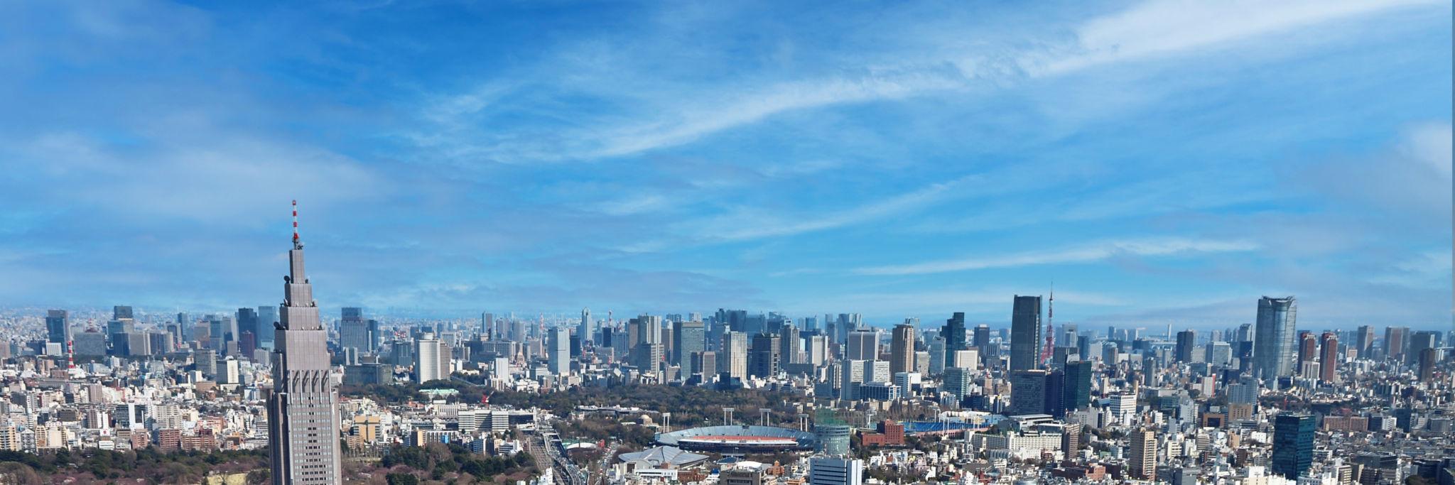 Shinjuku skyline