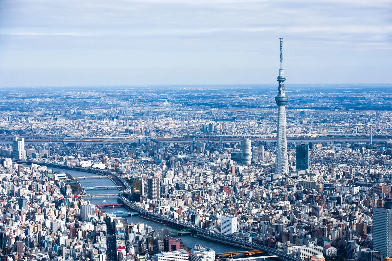 The 634-meter tall Tokyo Skytree observation tower rising above the Sumida ward skyline